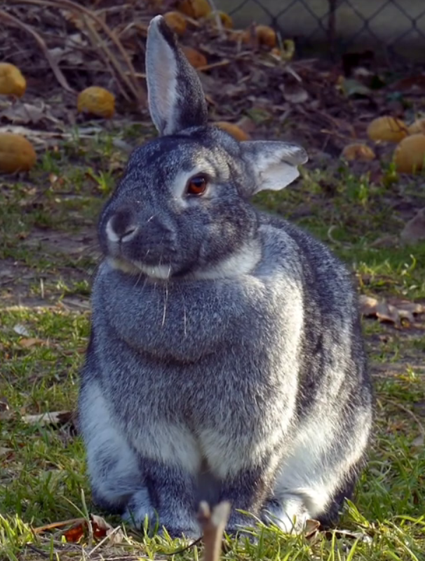 รูปผู้ใช้